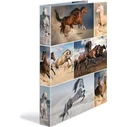 HERMA A4 Ring Binder with 2 Rings, 'Horses' 2D