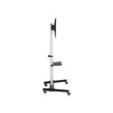 EQUIP 650630 TV Floor Stand 37"–86", VESA 600 x 400 mm, 50 kg, Silver