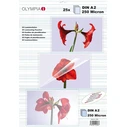 Olympia Laminating Pouches DIN A2 250 Micron 25 pcs Clear