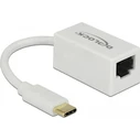 USB-C Αντάπτορας Δικτύου RJ45 (Gigabit) λευκό Delock 65906