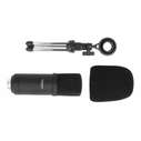 DeLOCK Professional USB Condenser Microphone 24 Bit / 192 kHz (MPN 66882)