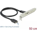 Delock Slot Bracket - USB Console - 20-pin USB 3.1 Header (Male) - DeLOCK