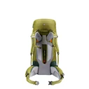 Σακίδιο Deuter Aircontact Core 50+10 cactus-ivy