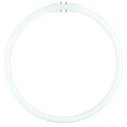 Λαμπτήρας Φθορισμού Κυκλικός Osram Circular Fluorescent Lamp T5 FC22W 840 2GX13