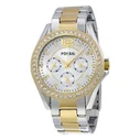 Fossil Women's Riley 38MM Quartz Analog Stainless Steel Watch ES3204
