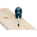 Bosch Κατσαβίδι Torx T15 1600A01V0B