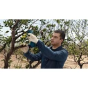 Bosch PRO PRUNER Ψαλίδι Κλαδέματος Μπαταρίας 12V με 2x 3Ah μπαταρίες, Μέγιστη Διάμετρος Κοπής 25mm