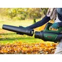 Bosch AdvancedLeafBlower 36V-750 Φυσητήρας Μπαταρίας (πράσινο/μαύρο, Li‑Ion 2,0Ah, POWER FOR ALL)