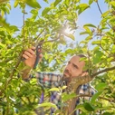 Ψαλίδι Κλαδέματος GARDENA PremiumCut Pro Flex