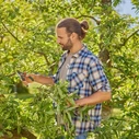 Ψαλίδι Κλαδέματος GARDENA PremiumCut Pro Flex