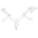 Icy Box IB-MS504-T Dual Monitor Desk Mount for 2 Monitors up to 81 cm (32"), 9 kg per monitor
