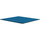 Thermal Grizzly Minus Pad Advance (2-pack) - 100 x 100 x 1.0 mm