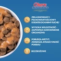 Inaba Λιχουδιές με Τόνο / Σολομό για Γάτα 14gr (4 x 14 g)