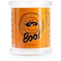 Peanuts Snoopy and Woodstock Scented Candle in Jar 250 g