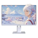 Japannext JN-I238FHD120F-HSP-W 23.8" FHD IPS Gaming Monitor 120Hz