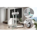 TV Floor Stand 40-70 inches White - Onkron TS1552-W