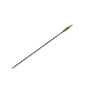 Poe Lang 28' Fibreglass Arrows Set 5 (D-055-B3)