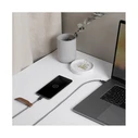 Native Union Μετατροπείς - Αντάπτορες Belt USB 2.0 Cable USB-C male USB-C Μαύρο 1.2m BELT-C-ZEB-2-NP