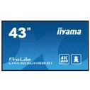 iiyama ProLite LH4365UHSB-B1 43" 4K UHD IPS Public Display