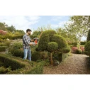 Black & Decker BEHT201 Ηλεκτρικό Μπορντουροψάλιδο 420W, Λάμα 45 cm
