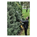 Dewalt Hedge Trimmer Attachment DCMASPH6N-XJ for 19 mm Pole