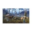 MAXIMUM GAMES Παιχνίδι NSW Big Buck Hunter Ultimate Trophy Deluxe Edition Code in a Box