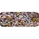 Bird Food Deli Nature Birdelicious 800 gr