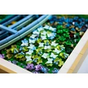 LEGO Art Claude Monet – Γέφυρα πάνω από μια λίμνη με Νούφαρα (31220) 18+