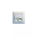Lanview Angled Wall Plate, Double Outlet EURO White (2 x Keystone)