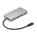 Sandberg Μετατροπέας Hub 4 Θυρών USB-C Γκρι 136-41