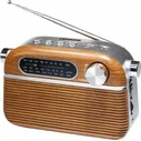 Tiross TS-461 Portable Radio Brown (AM/FM/SW, Bluetooth, USB, MP3, TF)