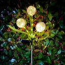 Garden Lighting Rebel Decorative Solar Garden Lights ZAR0580