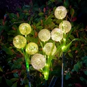Garden Lighting Rebel Decorative Solar Garden Lights ZAR0580
