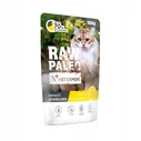 Vetexpert Raw Paleo Adult Sterilised Chicken 100g