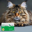 JM Sante Dietary Supplement for Dogs and Cats in Capsules 150 g for Skin & Coat