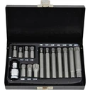 AWTools Spline Tips 15pcs Blue (AW35119BL)