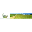 Greenmill Pressure Sprayer 1 L (GB910)