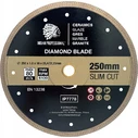 250 mm Sanding Disc IP7778