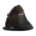 Delux M618 Mini Wireless Ergonomic Vertical Mouse Gold