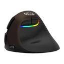 Delux M618 Mini Wireless Ergonomic Vertical Mouse Gold