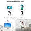 Puluz LED Ring Light 20cm with Phone Holder and Tripod (PKT3120B)