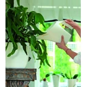 Prosperplast IDUKON2-S449 Plastic Watering Can 2 L White