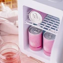 Adler Mini Cosmetic Refrigerator White AD 8084w