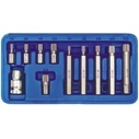 Vorel 11-Piece Spline Screwdriver Bit Set M5-M12 with 1/2" Adapter (Model 66770)