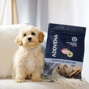 Nature 2.5kg Ξηρά Τροφή για Κουτάβια Μικρόσωμων Φυλών
