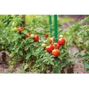 Plant Support Stakes 11 mm x 90 cm, Set of 10 - Bradas (TYP11090)
