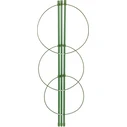 Bradas TYRP75 Στηρίγματα Φυτών 75cm με Δακτύλιο Στήριξης