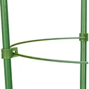 Bradas TYRP75 Στηρίγματα Φυτών 75cm με Δακτύλιο Στήριξης