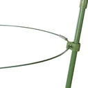 Bradas TYRP75 Στηρίγματα Φυτών 75cm με Δακτύλιο Στήριξης