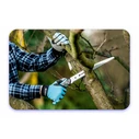 Cellfast Ergo Folding Pruning Saw 30 cm (Model 41-040)